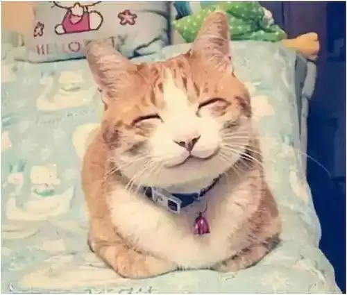  谁这么有才,新学期教师表情包,太像了......笑得肚子疼
