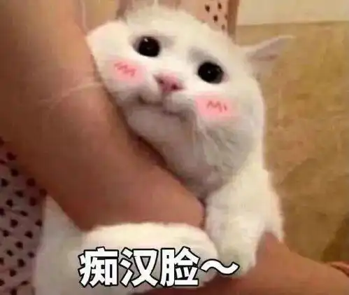 很狠了哦表情包送你