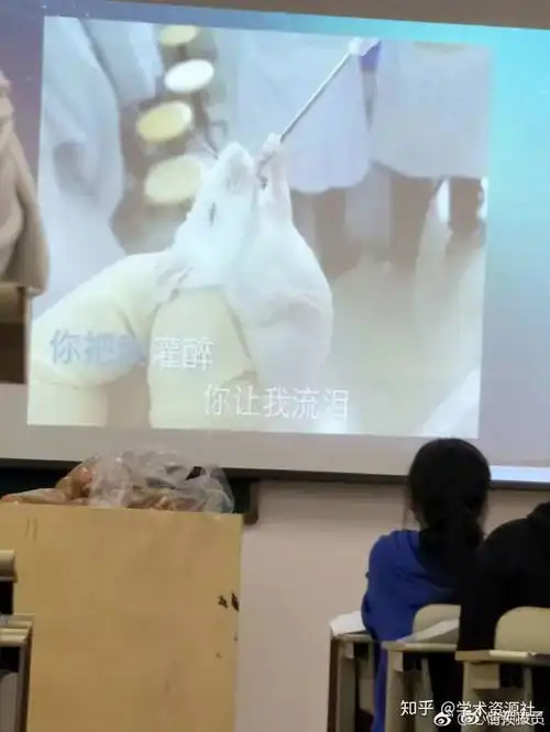  今日最佳会用表情包的老师才是好老师