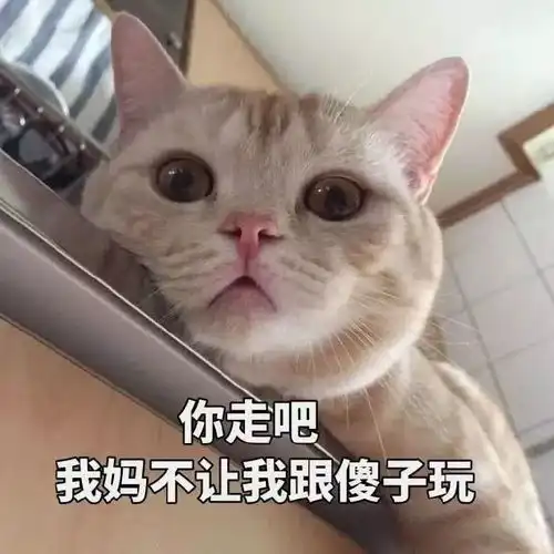 小贱人表情包