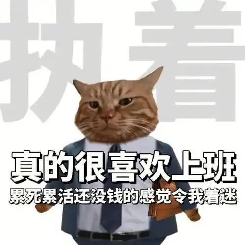  打工猫咪表情包