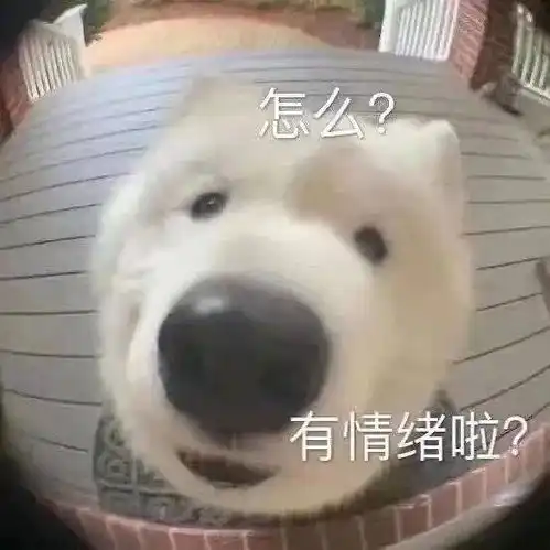  过年聚餐灌酒这种糟粕什么时候能消失