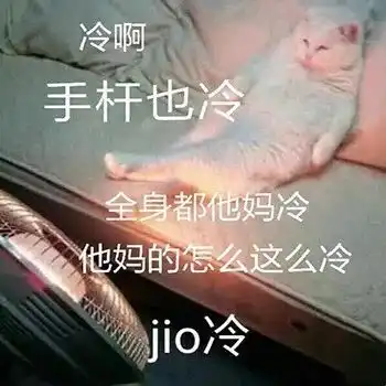  不如不遇倾城色表情包腾讯新闻