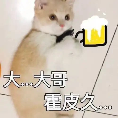  gk水友赛圆满结束,最皮队友竟是