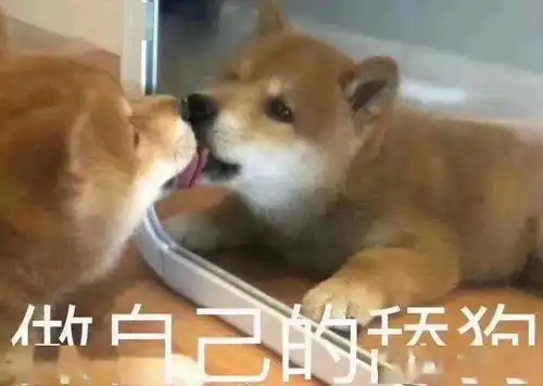  单身狗表情包,214