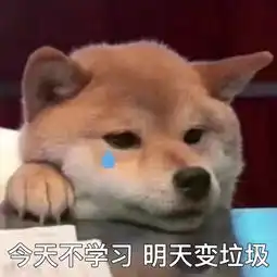光遇好玩吗表情包柴犬