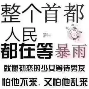  等了一天,龙王的进京证终于办下来了