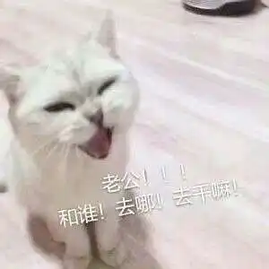  喊老公表情包大全喊老公的萌萌的表情包下载