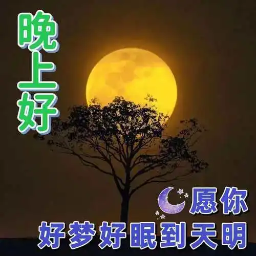  晚上好表情包,晚上好图片大全,晚上好问候,舒心好眠,