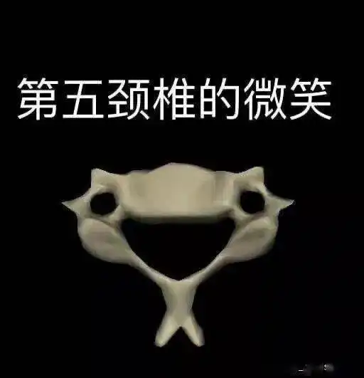  骗我选这个专业前,你可不是这样说的