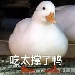  表情包当代人脸上根本没什么表情