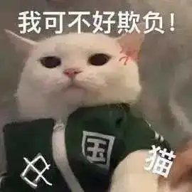  我中国猫可不是好欺负的第289期喵表情