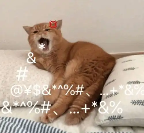  沙雕又可爱的qq朋友圈文案