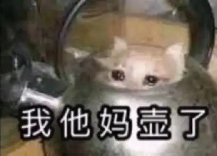  表情包图片在吗,小傻瓜,我准备好了,一起回我家