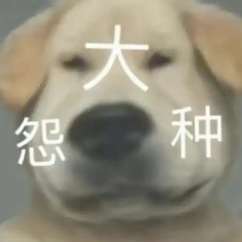分一点运气给你表情包喷