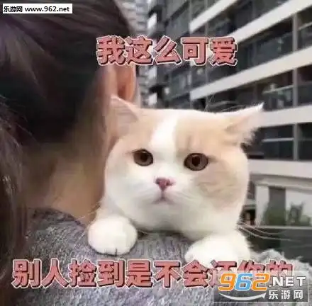  我这么可爱别人捡到是不会还你的图片想知道男朋友在干嘛又不想表情太明显表情包下载乐游网游戏下载