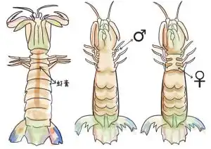  新晚报数字报