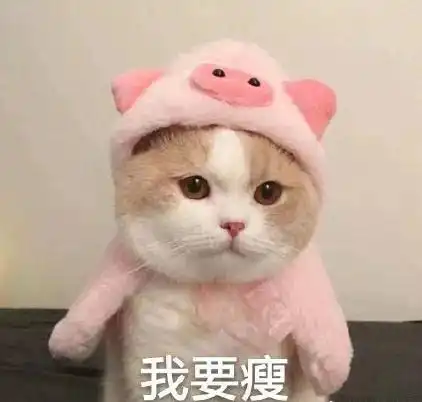  猫咪表情包我是一个没有感情的杀手