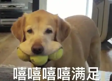  80玩家都不知道的舔包技能