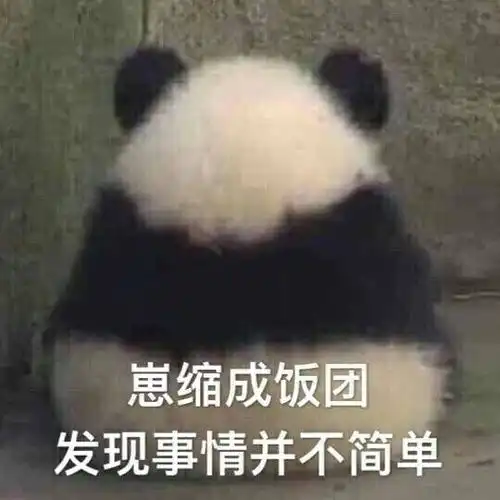消瘦熊猫头表情包小熊猫