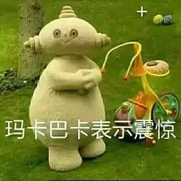  愿风里雨里,再智障也有人陪你