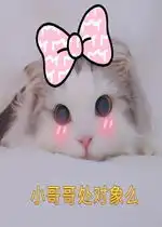 小黑猫的表情包处对象