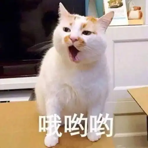 满大街双十一恶俗广告,上海地铁却出现一股清流......
