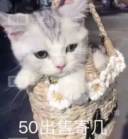  工作调动回原来工作地,租房押金是否申请补偿