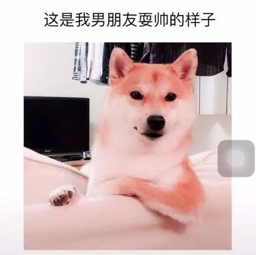  逗男朋友的暧昧表情包来了,仰望迷人帅气的小哥哥,我有一点想你