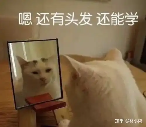  民族调式篇中国调式