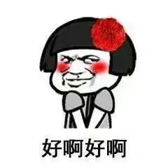  哈哈哈哈海鸥大笑动图表情包动图哈哈哈哈海鸥大笑表情