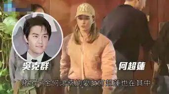  何超莲与郑元畅等好友聚会,王大陆秒变表情包