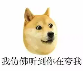 一只柴犬抱着鱼表情包沙