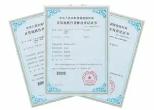  深圳珠海汕头办理软件著作权登记可定制可加急价格合理