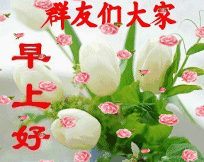  今天11月19,一首开开心心每一天送给所有的朋友愿你开心每一天