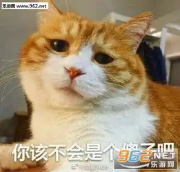  社会肥宅表情包你该不会是个傻子吧表情包高清无水印下载乐游网游戏下载
