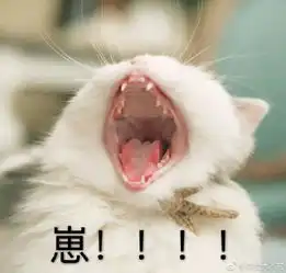 啊啊啊动物表情包动物图