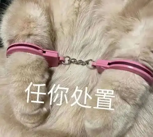 对话表情包上线了