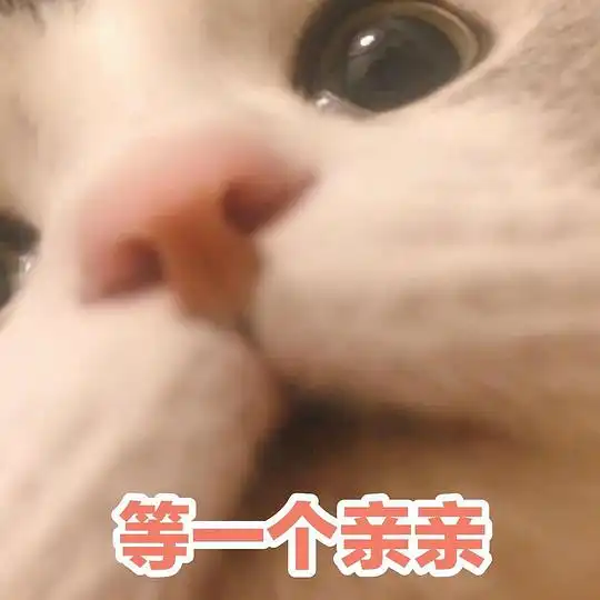 怀疑的眼神表情包玫瑰