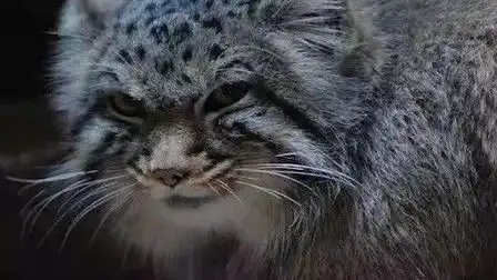  边缘