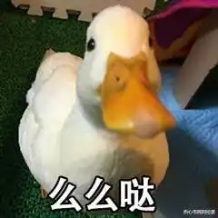  为什么我的枕头总发黄,老婆的枕头一直那么白哈哈哈哈网友真相了