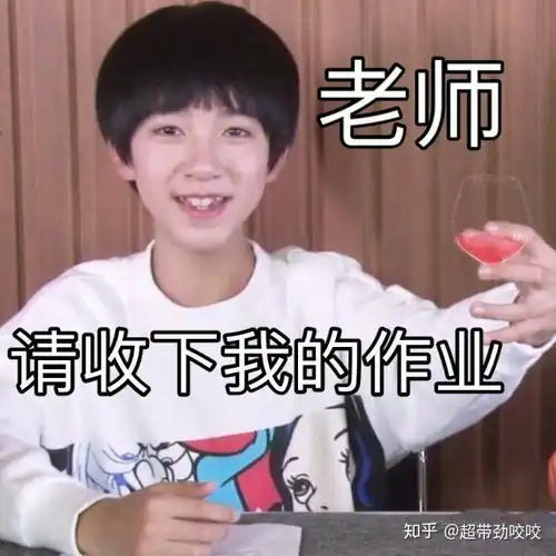  有没有什么关于交作业的表情包