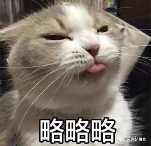  猫咪经常做的几件事,真的是让铲屎官头都愁大了
