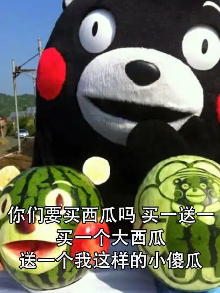  表情熊本熊搞笑表情包买西瓜嘛,买一送一噢腾讯网qq.com表情