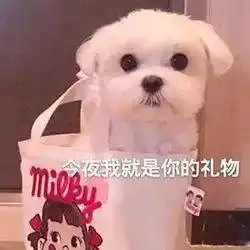  可爱表情今夜我就是你的圣诞礼物