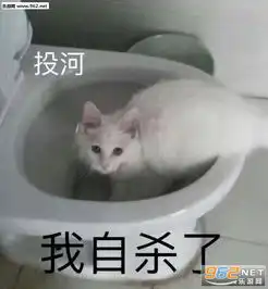 披被子的图片表情包安排