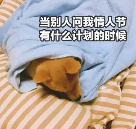  动图宇宙情人节创意表白表情包,又刷屏