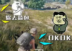  和平精英决赛圈的好物,三级包和消音器被嫌弃,它才是必备的