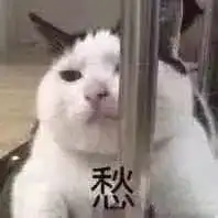 地铁逃生猫咪表情包