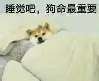  这100多张表情包送给你不收藏都对不起老司机这个称号